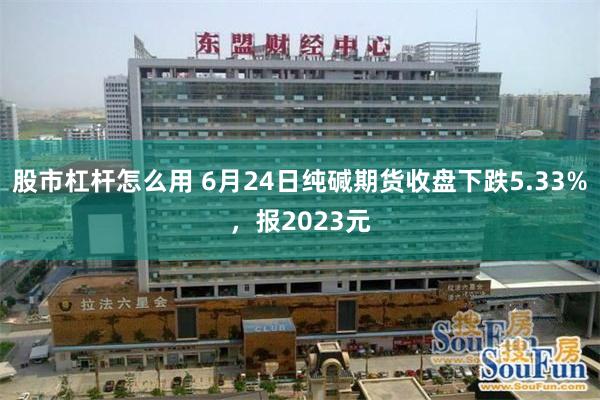 股市杠杆怎么用 6月24日纯碱期货收盘下跌5.33%，报2023元