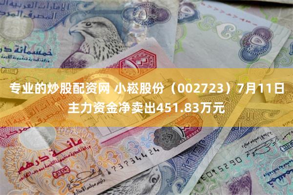 专业的炒股配资网 小崧股份（002723）7月11日主力资金净卖出451.83万元