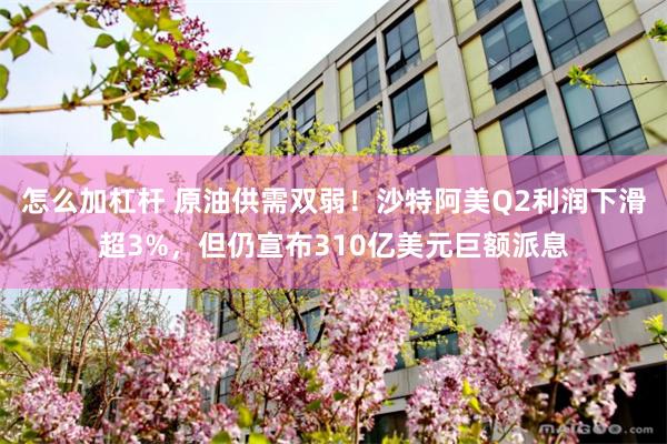 怎么加杠杆 原油供需双弱！沙特阿美Q2利润下滑超3%，但仍宣布310亿美元巨额派息