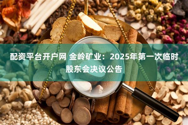 配资平台开户网 金岭矿业：2025年第一次临时股东会决议公告